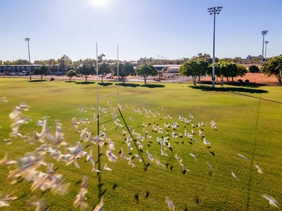 Marie Marland Reserve